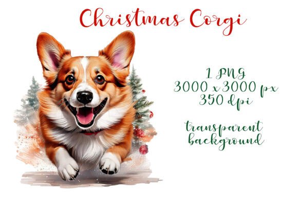 Christmas Corgi PNG Graphic: Seasonal Illustrations for Content Creators